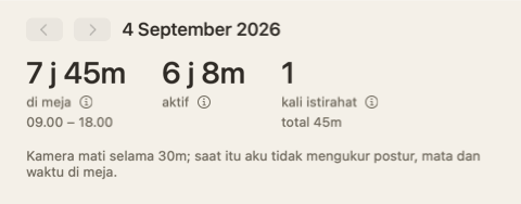 Bagian atas ringkasan hari: tiga angka — di meja, aktif, istirahat — dan catatan bahwa kamera mati selama 30 menit.