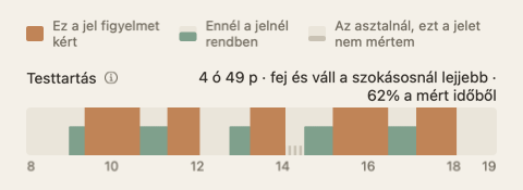 A napi összegzés testtartás-sávja: zöld és narancs csík a nap órái mentén, a címkéje végén az összeggel.