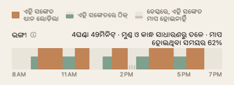 ଦିନର ସାରାଂଶର ଭଙ୍ଗୀ ପଟି: ଦିନର ଘଣ୍ଟା ଅନୁସାରେ ସବୁଜ ଓ କମଳା ରଙ୍ଗର ଗୋଟିଏ ପଟି, ଲେବଲ୍ ଶେଷରେ ମୋଟ ସହ।