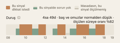 Gün özetinin duruş şeridi: günün saatleri boyunca yeşil ve turuncu bir şerit, etiketin ucunda toplam süre.